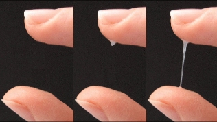 Siz va jiyaningiz bilan jinsiy aloqa